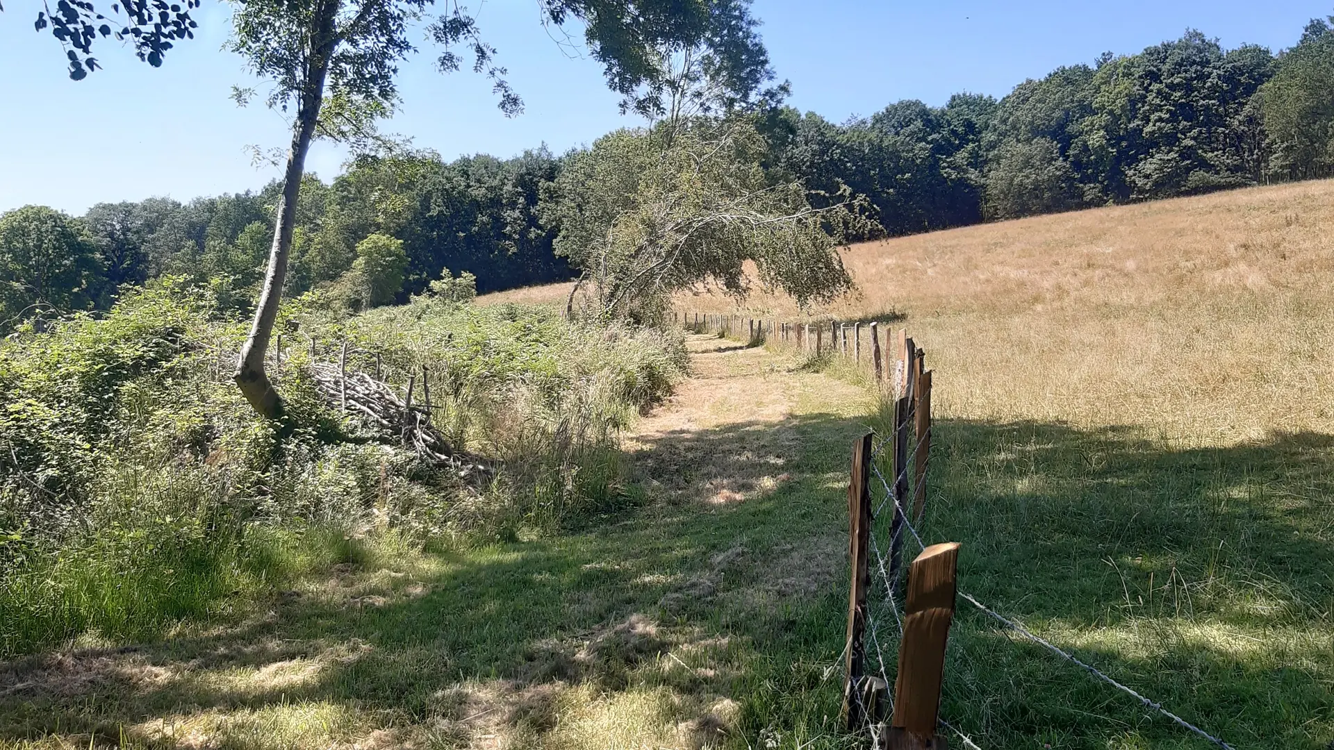 Circuit Grand tour du Domaine du Gasseau