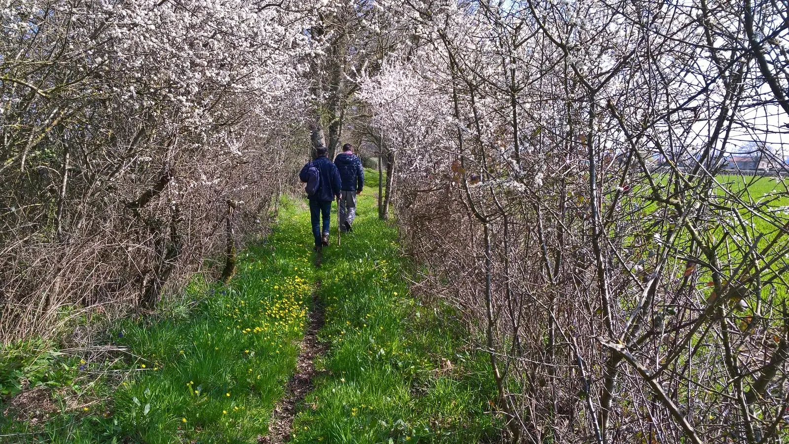 Circuit du Moulin Barbet (11)