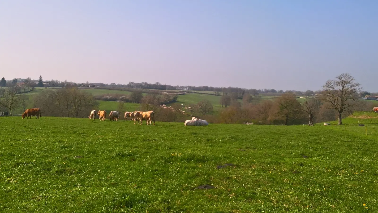 Circuit du Moulin Barbet (13)