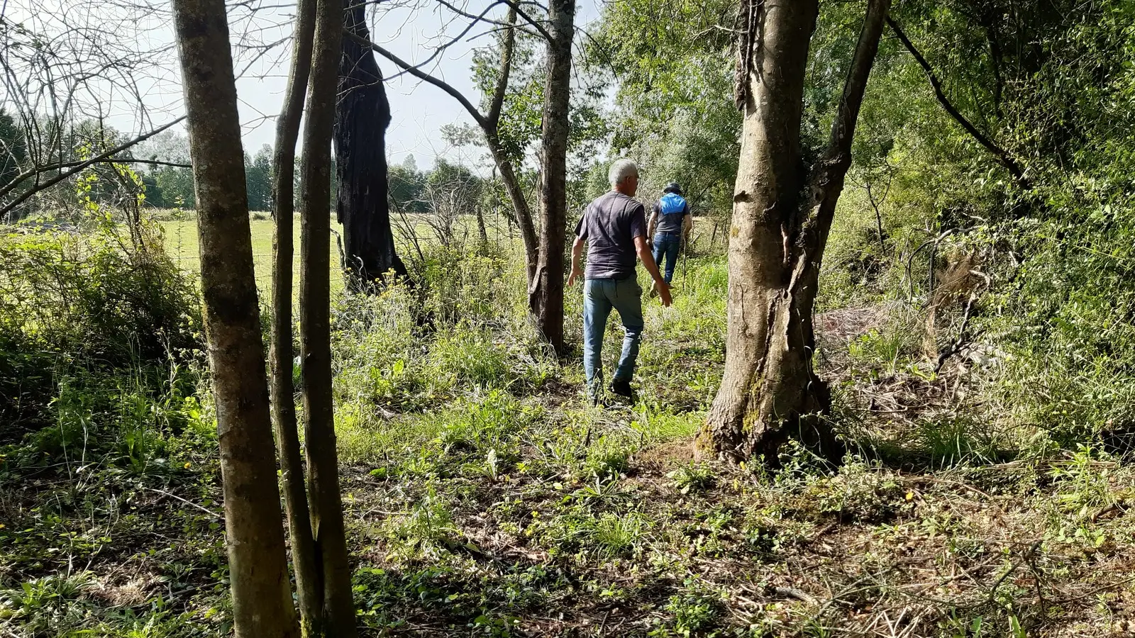 Circuit du Moulin Barbet (2)