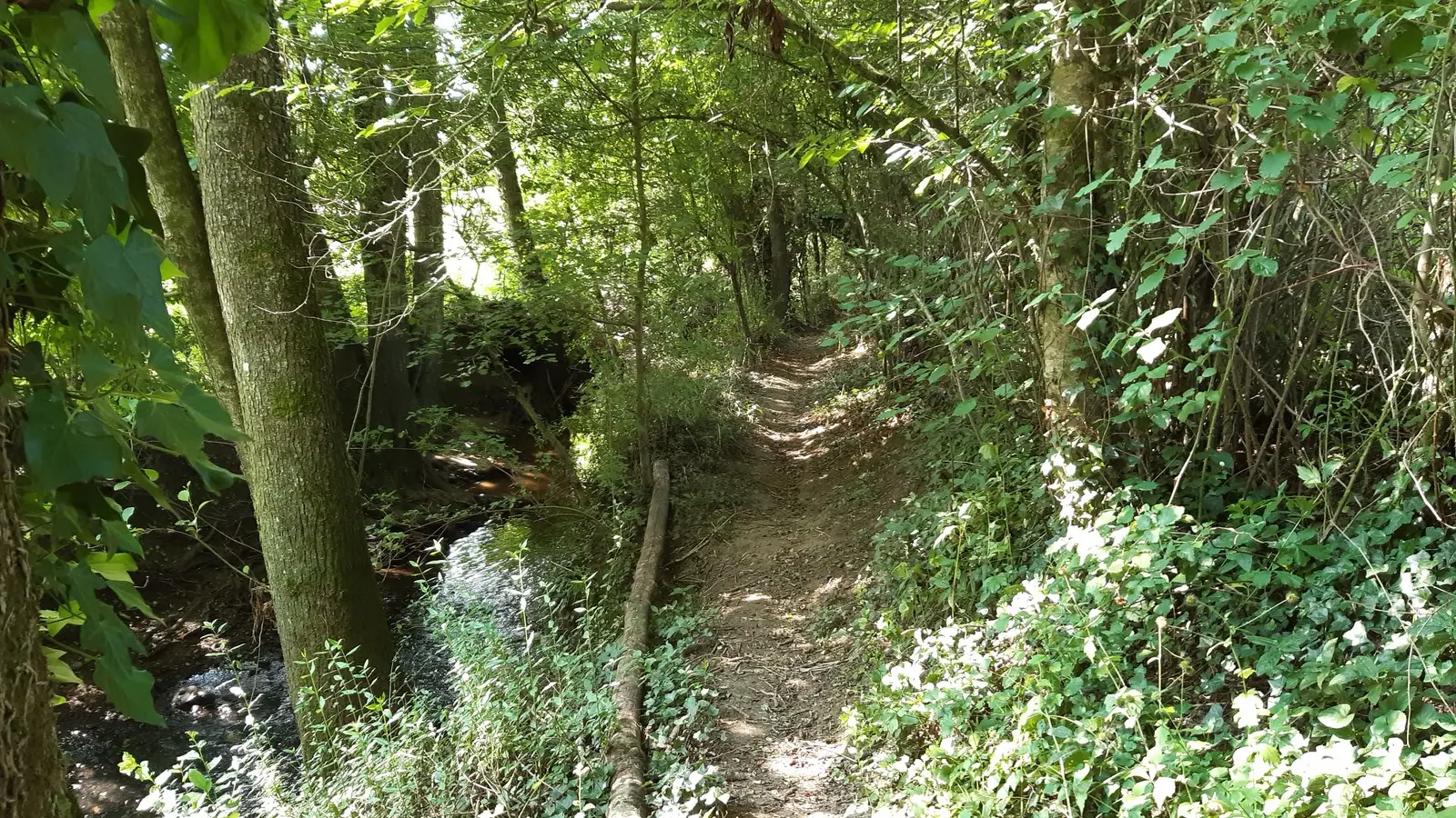 Circuit du Moulin Barbet (4)