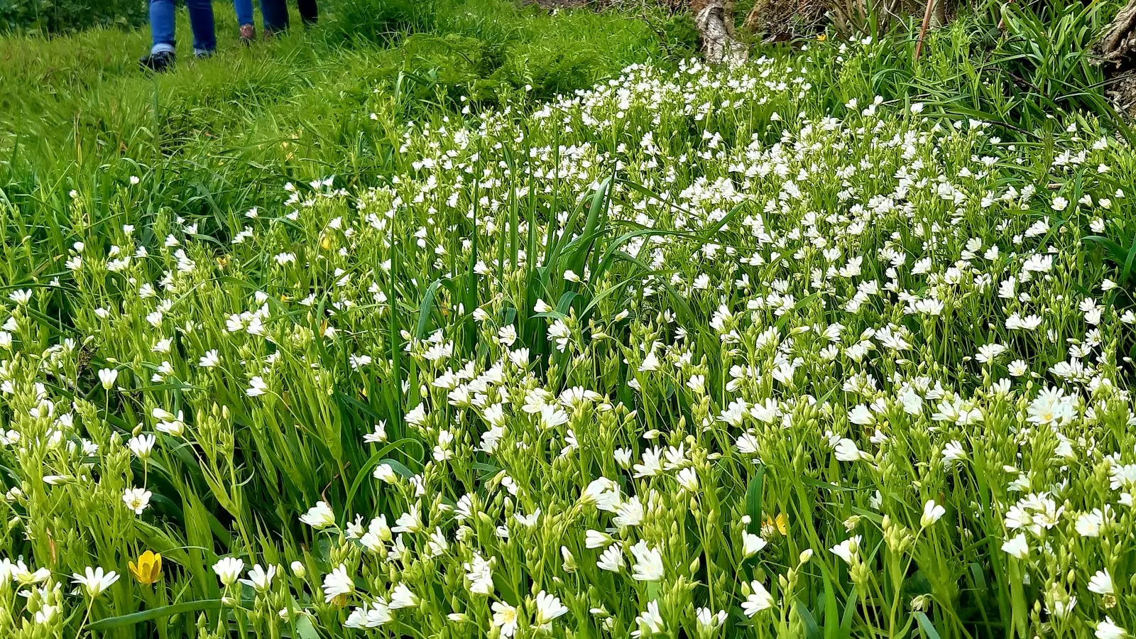 Circuit du Moulin Barbet (6)