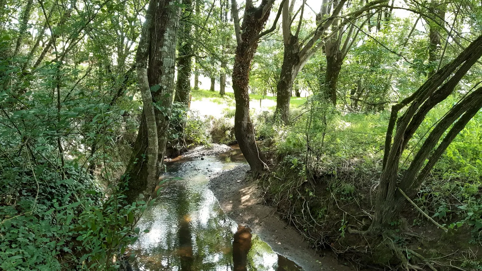 Circuit du Moulin Barbet (7)