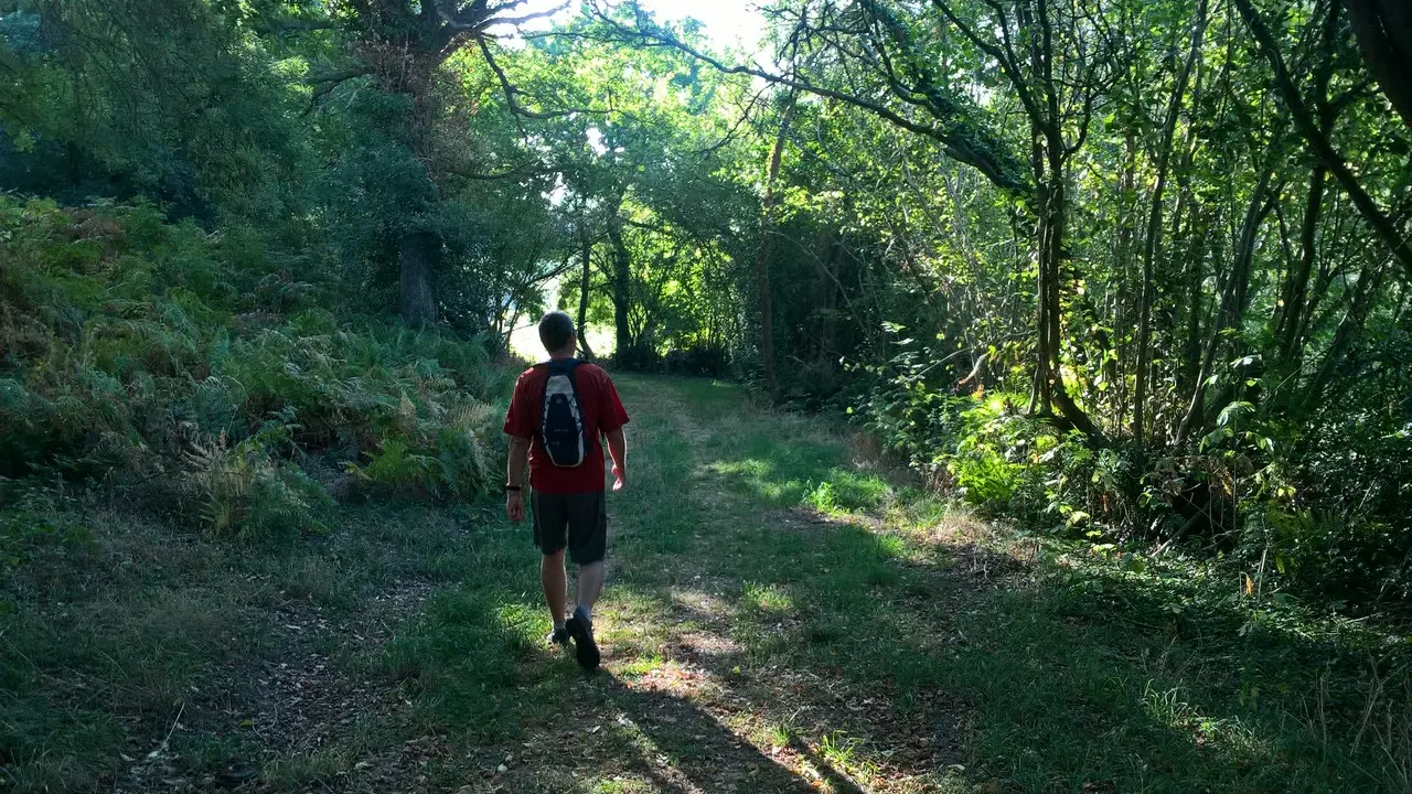 Circuit de Maine en vignes - St Lumine de CLisson