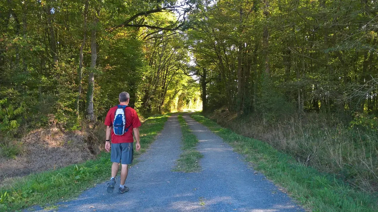 Circuit de Maine en vignes - St Lumine de CLisson