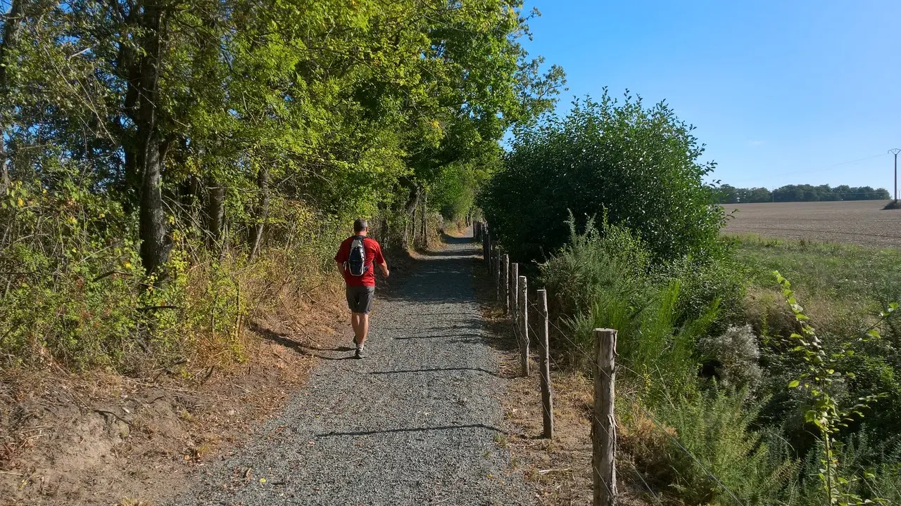 Circuit de Maine en vignes - St Lumine de CLisson