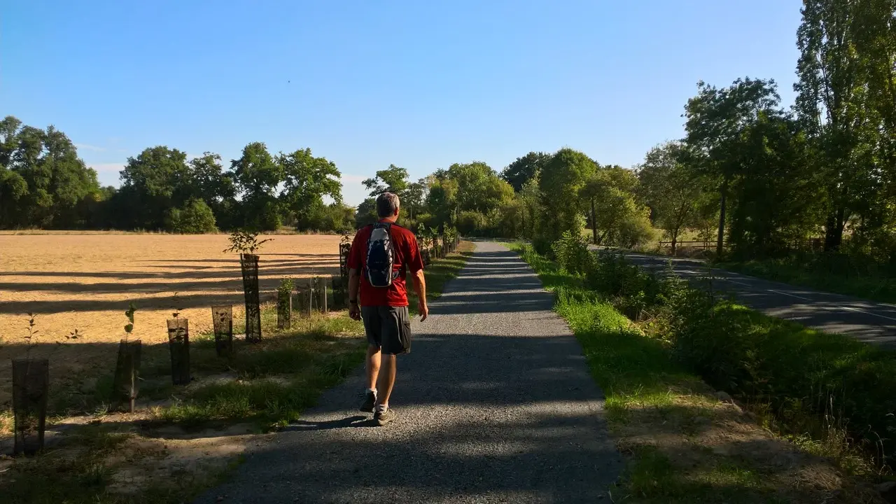 Circuit de Maine en vignes - St Lumine de CLisson