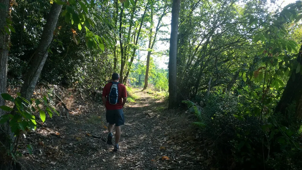 Circuit de Maine en vignes - St Lumine de CLisson