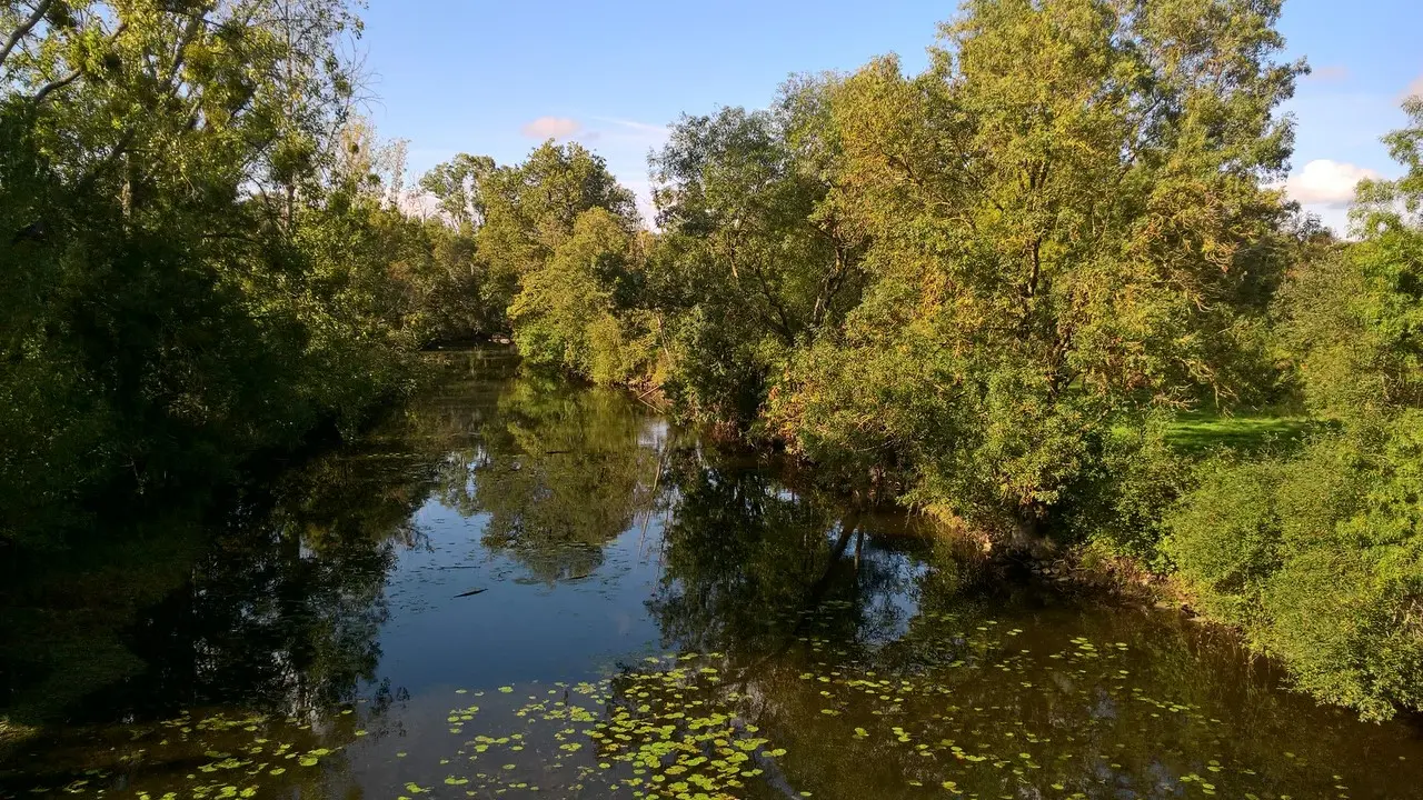Circuit de Maine en vignes - St Lumine de CLisson
