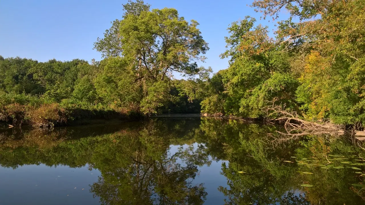 Circuit de Maine en vignes - St Lumine de CLisson