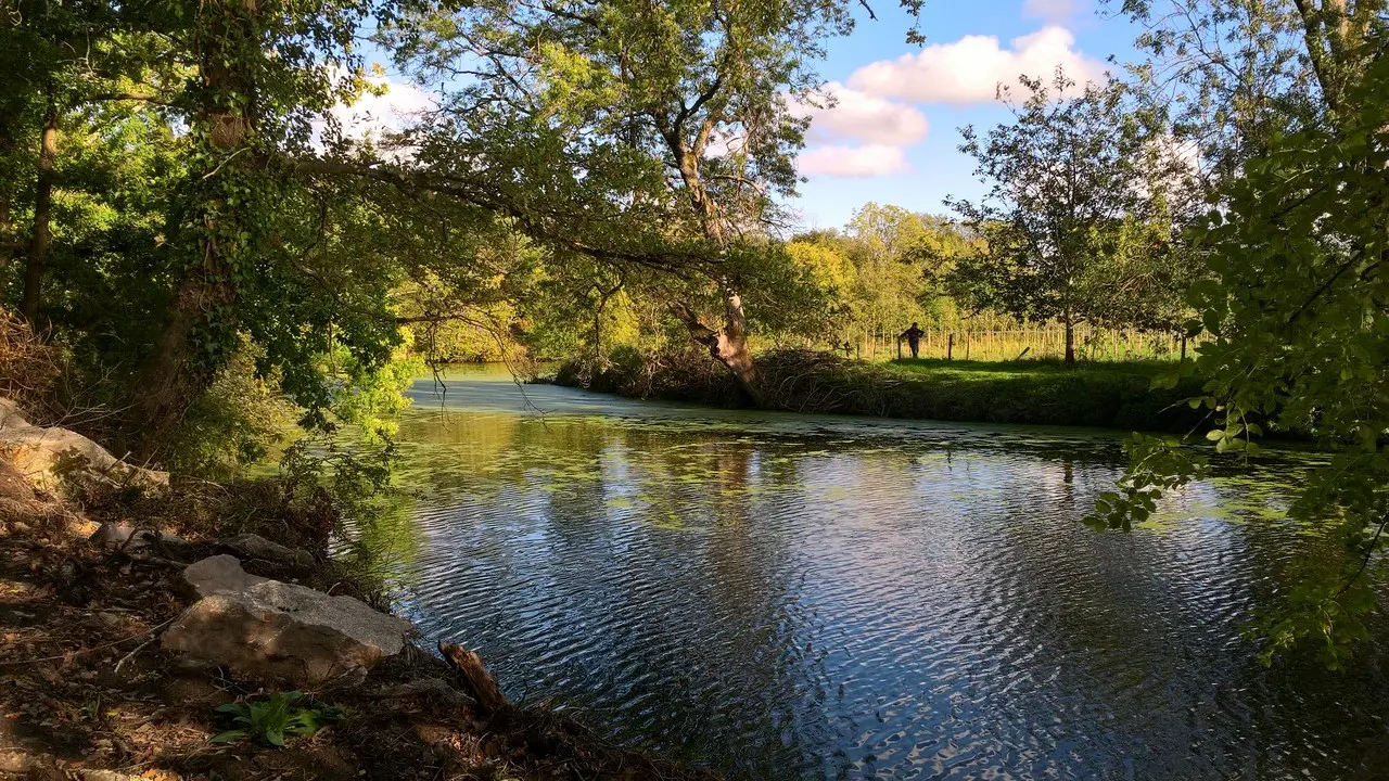 Circuit de Maine en vignes - St Lumine de CLisson