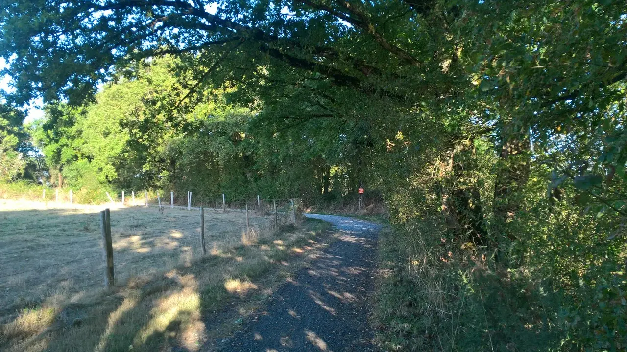Circuit de Maine en vignes - St Lumine de CLisson