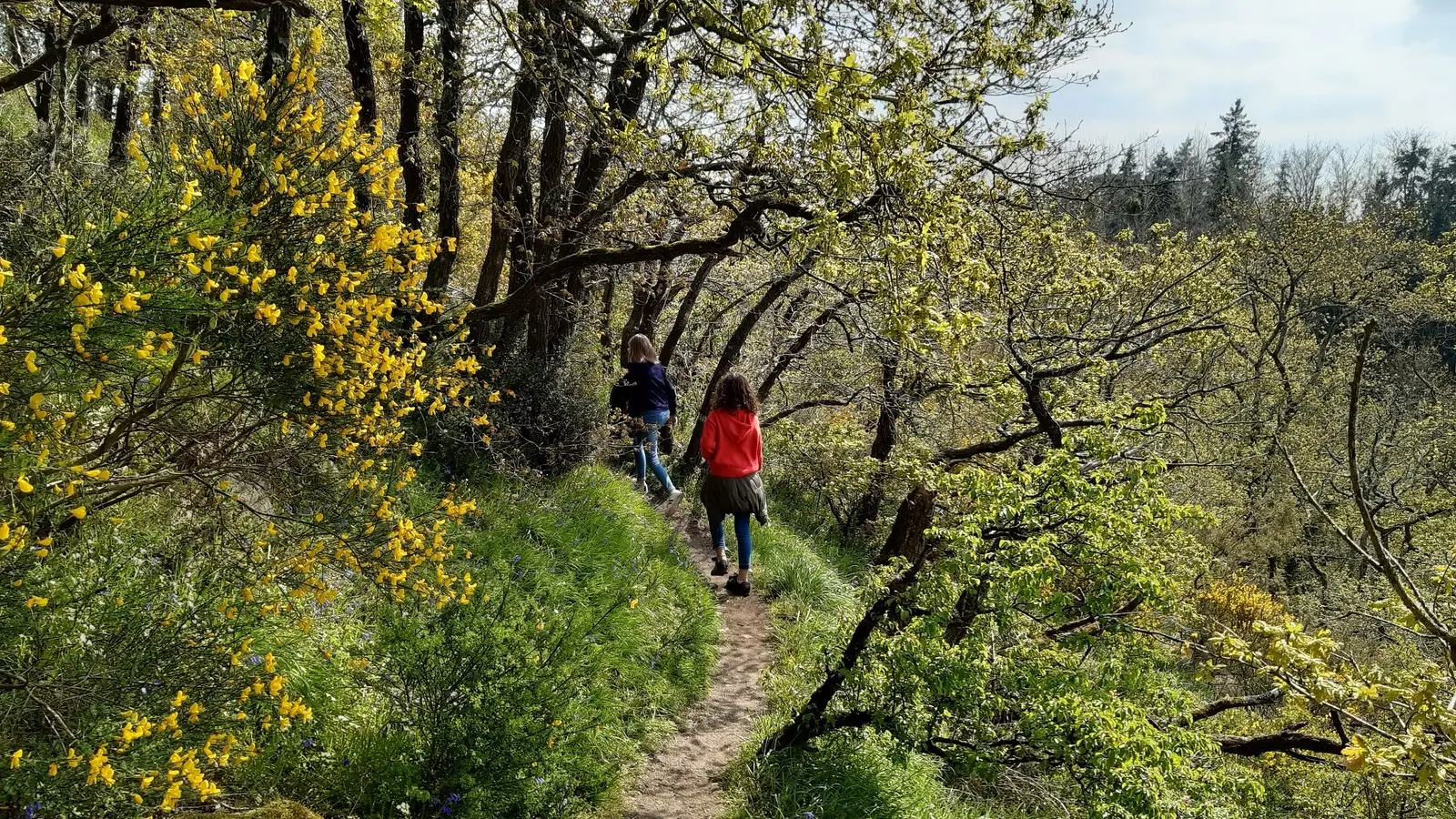 Circuit des coteaux luminais (4)