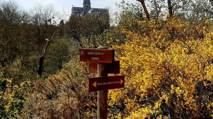 Circuit des coteaux luminais (5)