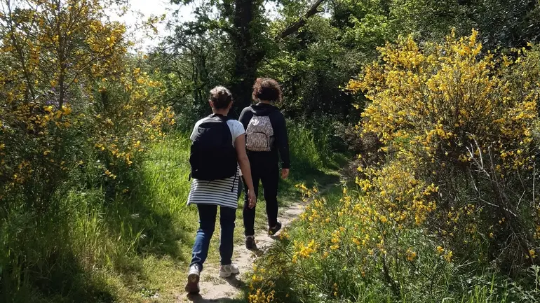 Circuit des coteaux luminais (8)