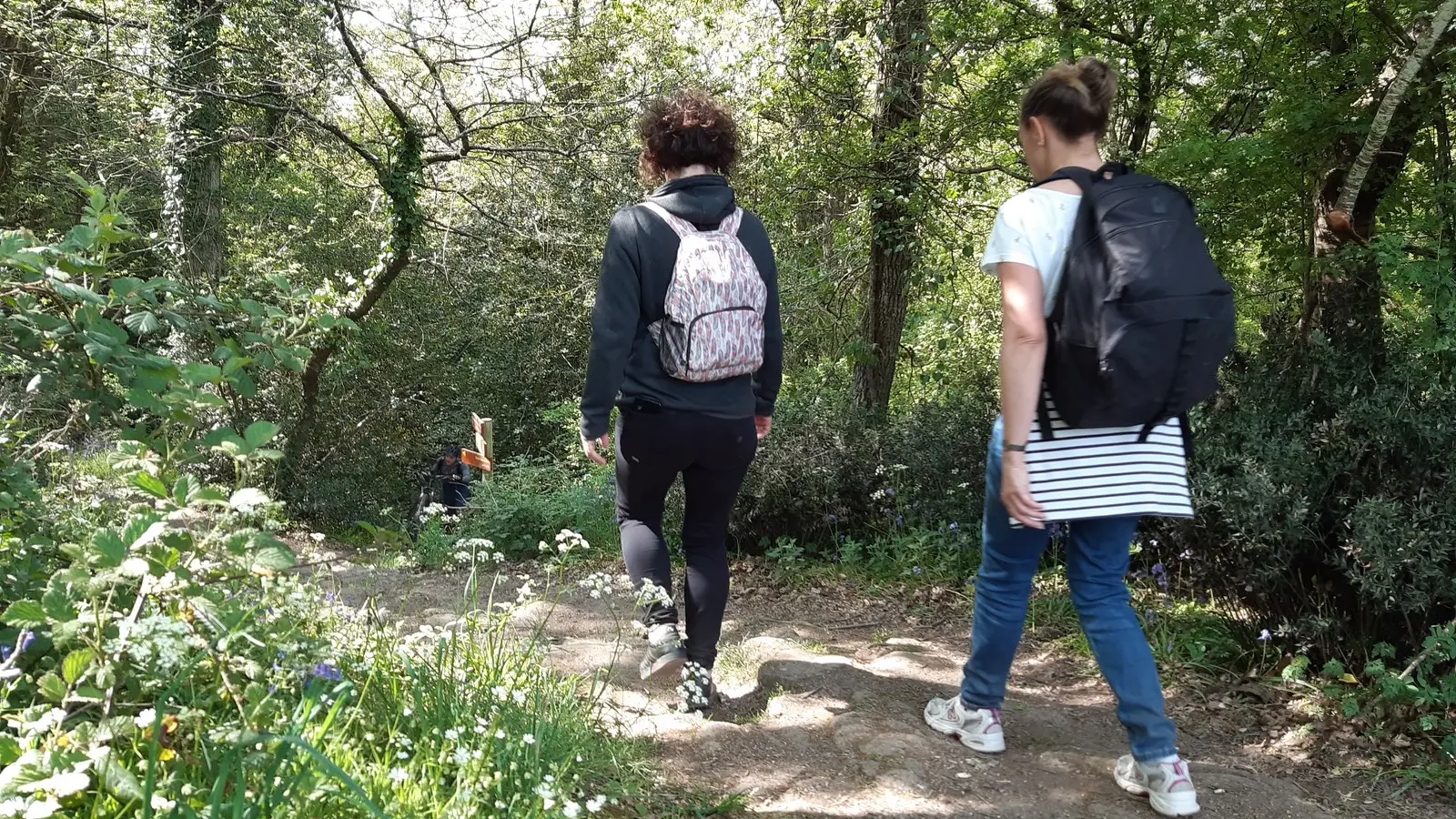 Circuit des coteaux luminais (9)