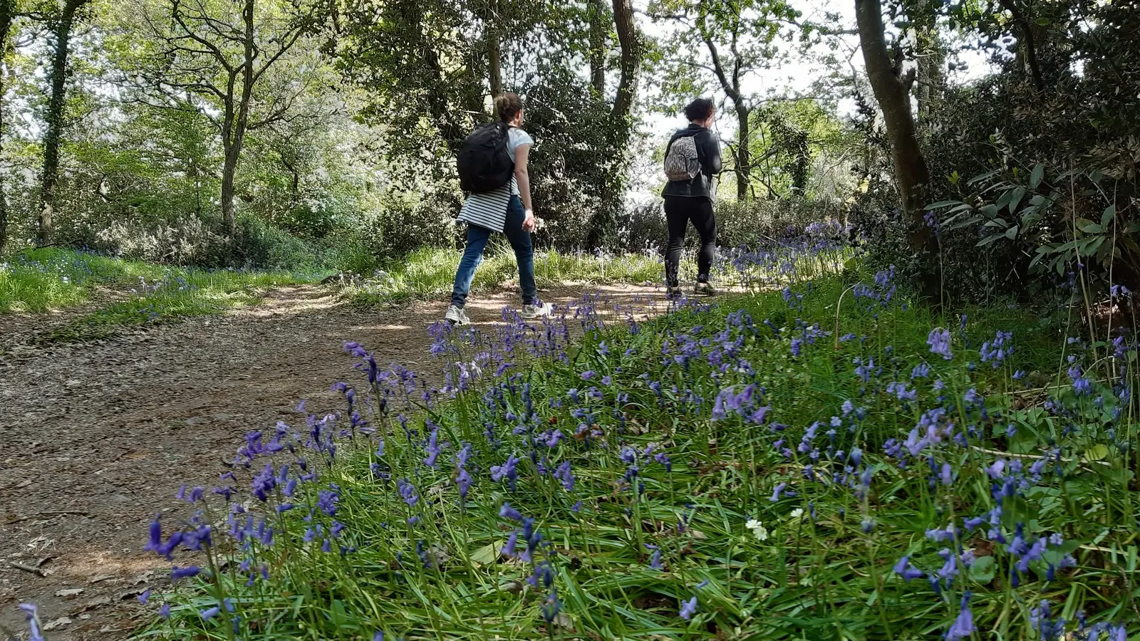 Circuit des coteaux luminais (1)