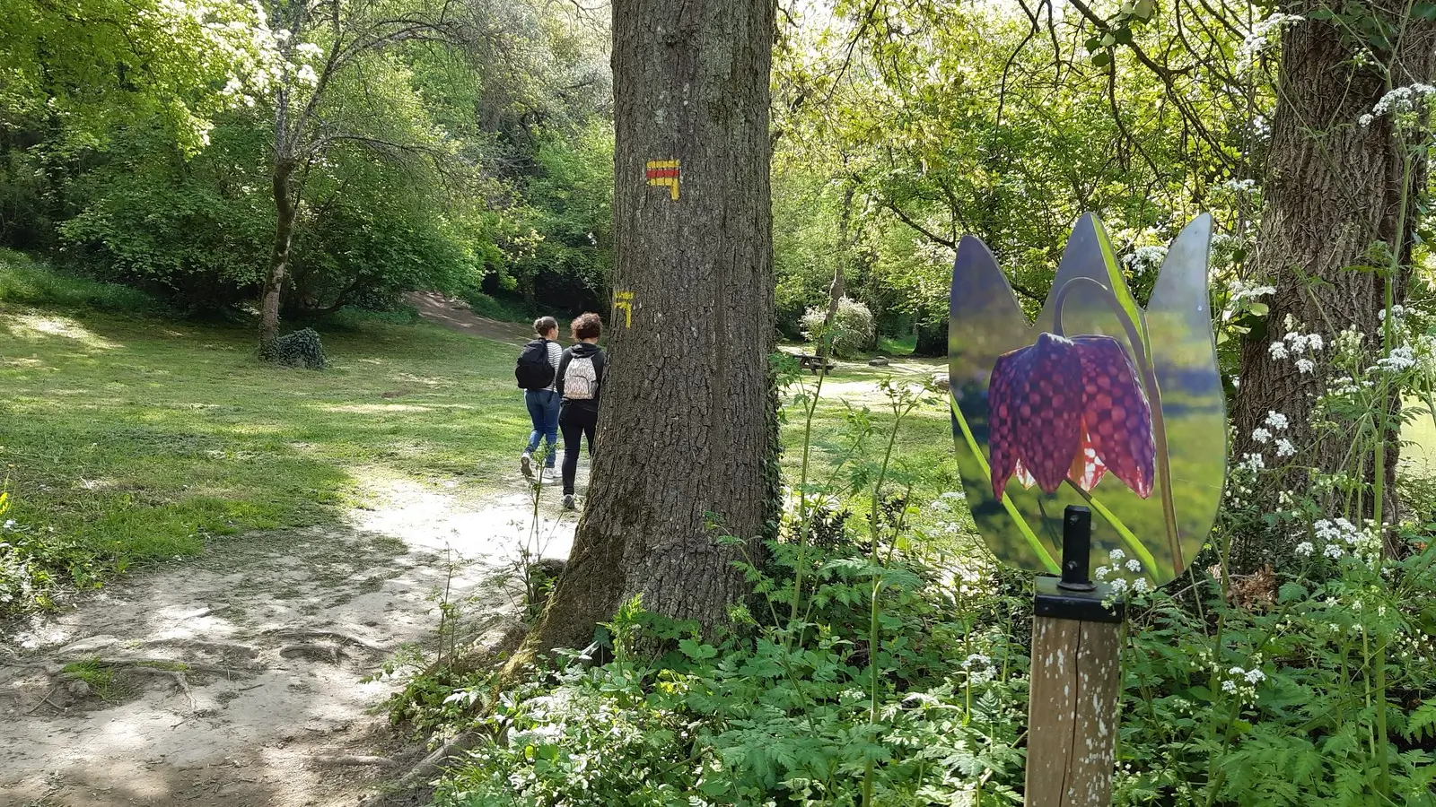 Circuit des coteaux luminais (10)