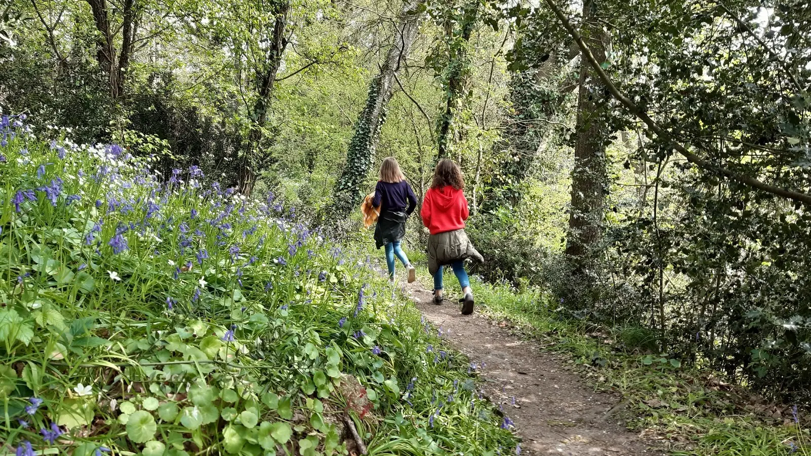 Circuit des coteaux luminais (3)