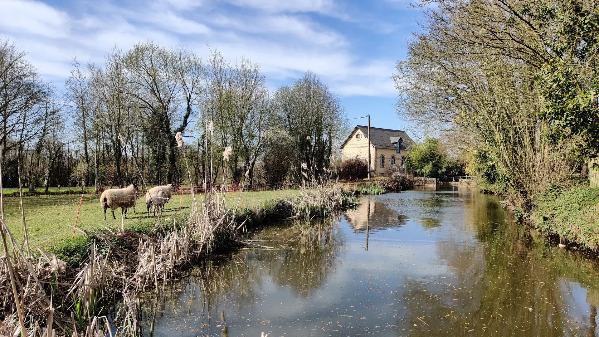 Vue du moulin coté étang