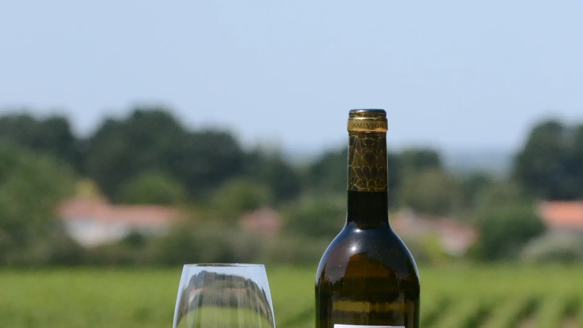 Bouteille et verre de vin