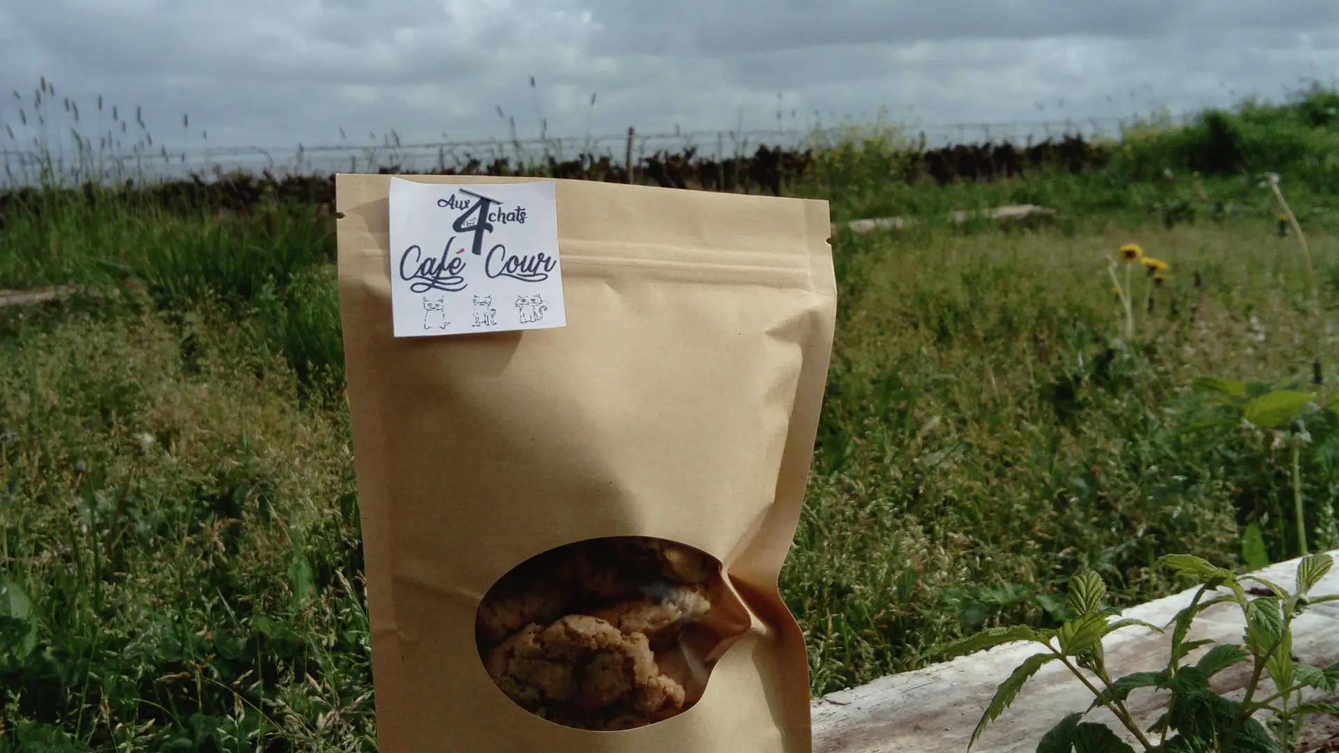 Aux-4-chats-Cookies-maisdon-sur-sevre-44