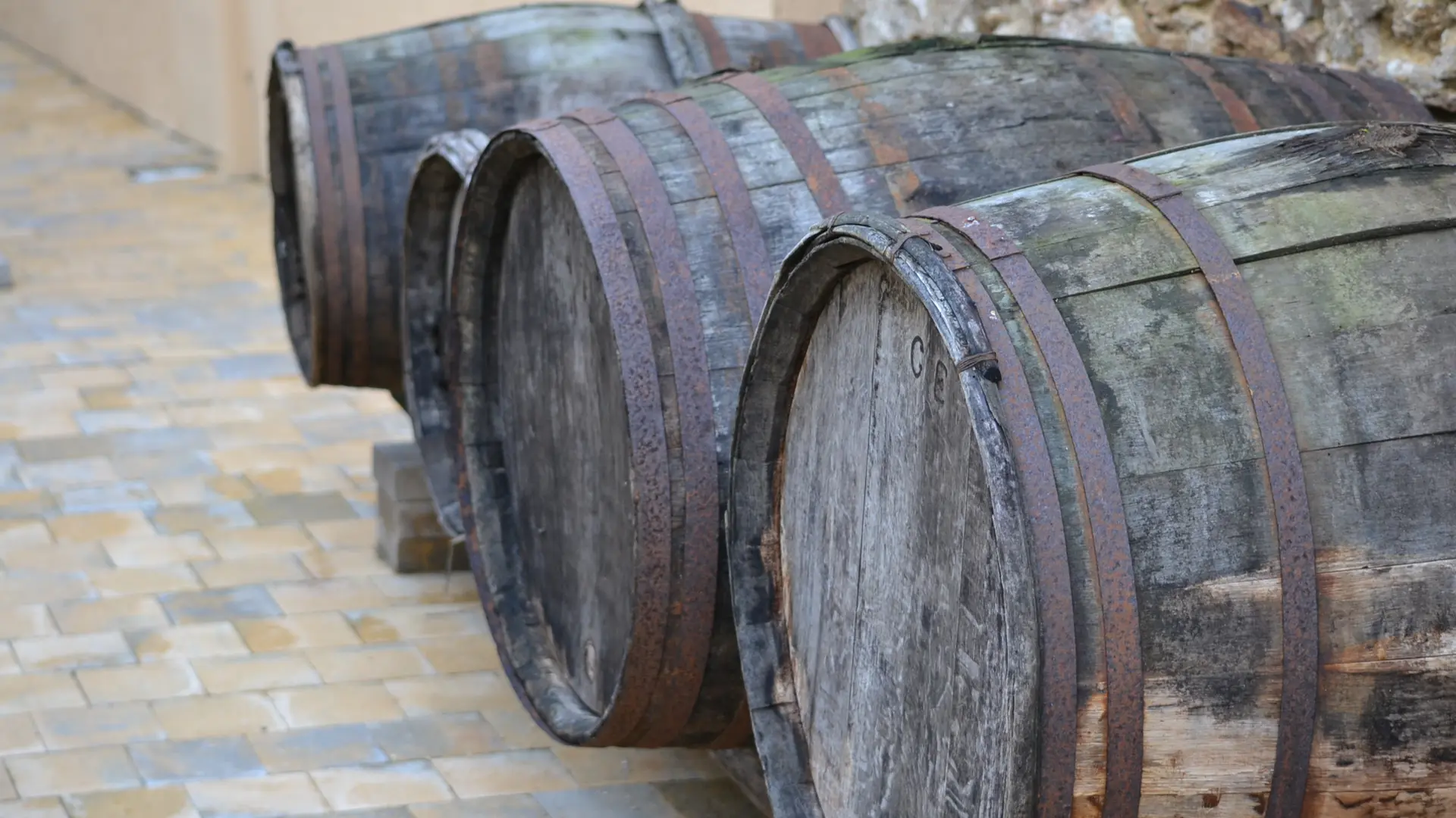 2018-seminaire-domaine-coeur-loire6-chapelle-heulin-44-levignobledenantes