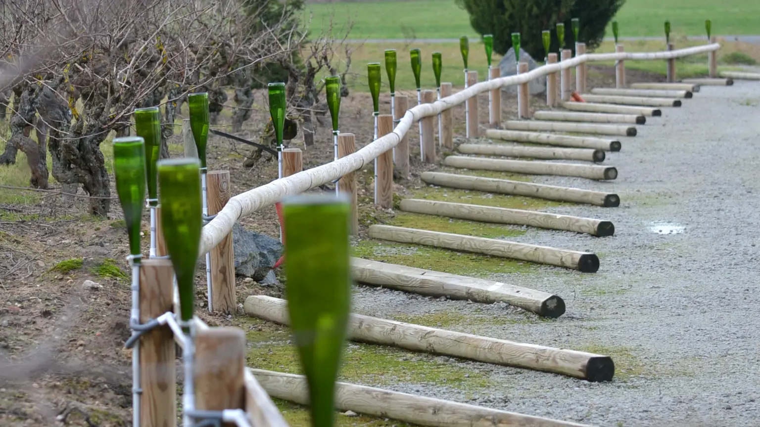 2018-gite-groupe-coeur-loire1-chapelle-heulin-44-levignobledenantes