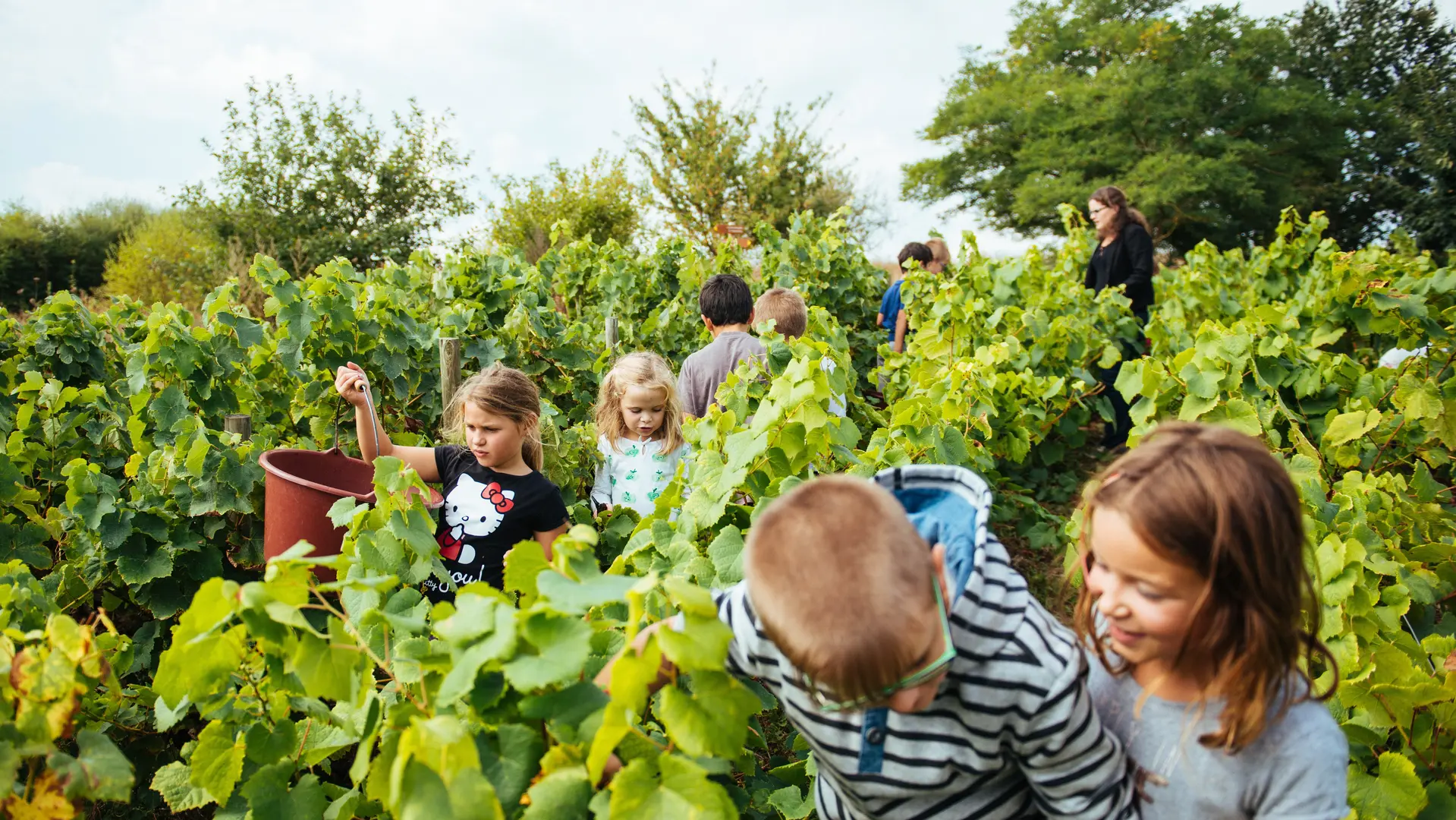2018-musee-vignoble-nantais-pallet-44-levignobledenantes-tourisme