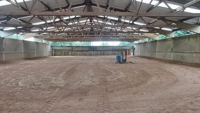 FB_IMG_1741257660930