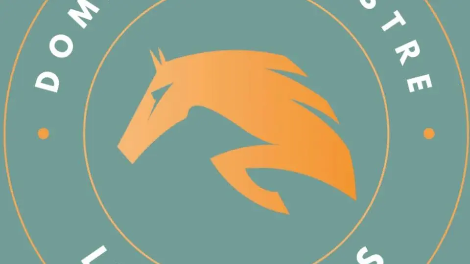 FB_IMG_1741257610550