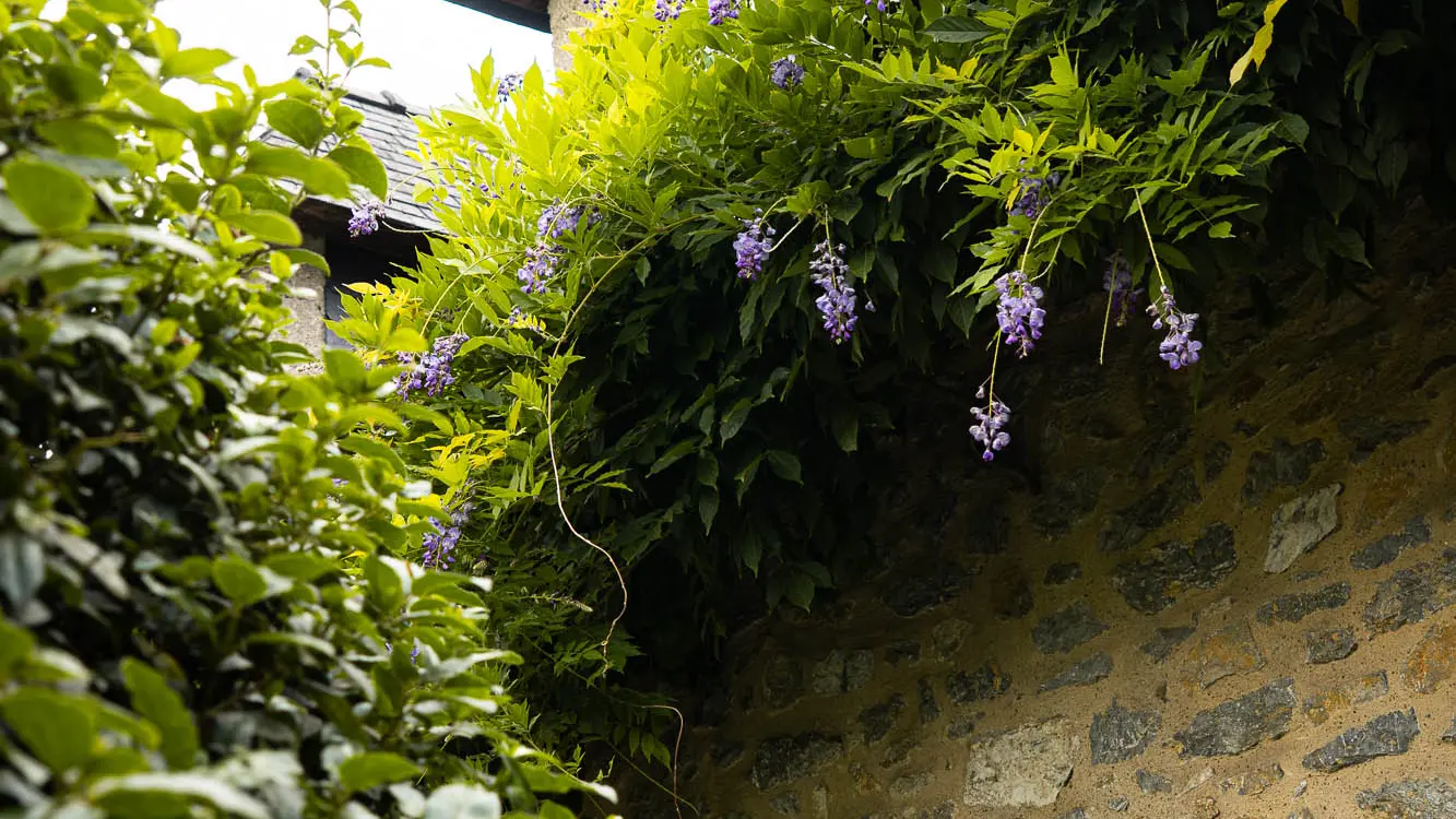 Façade Domaine des Vieilles Pierres