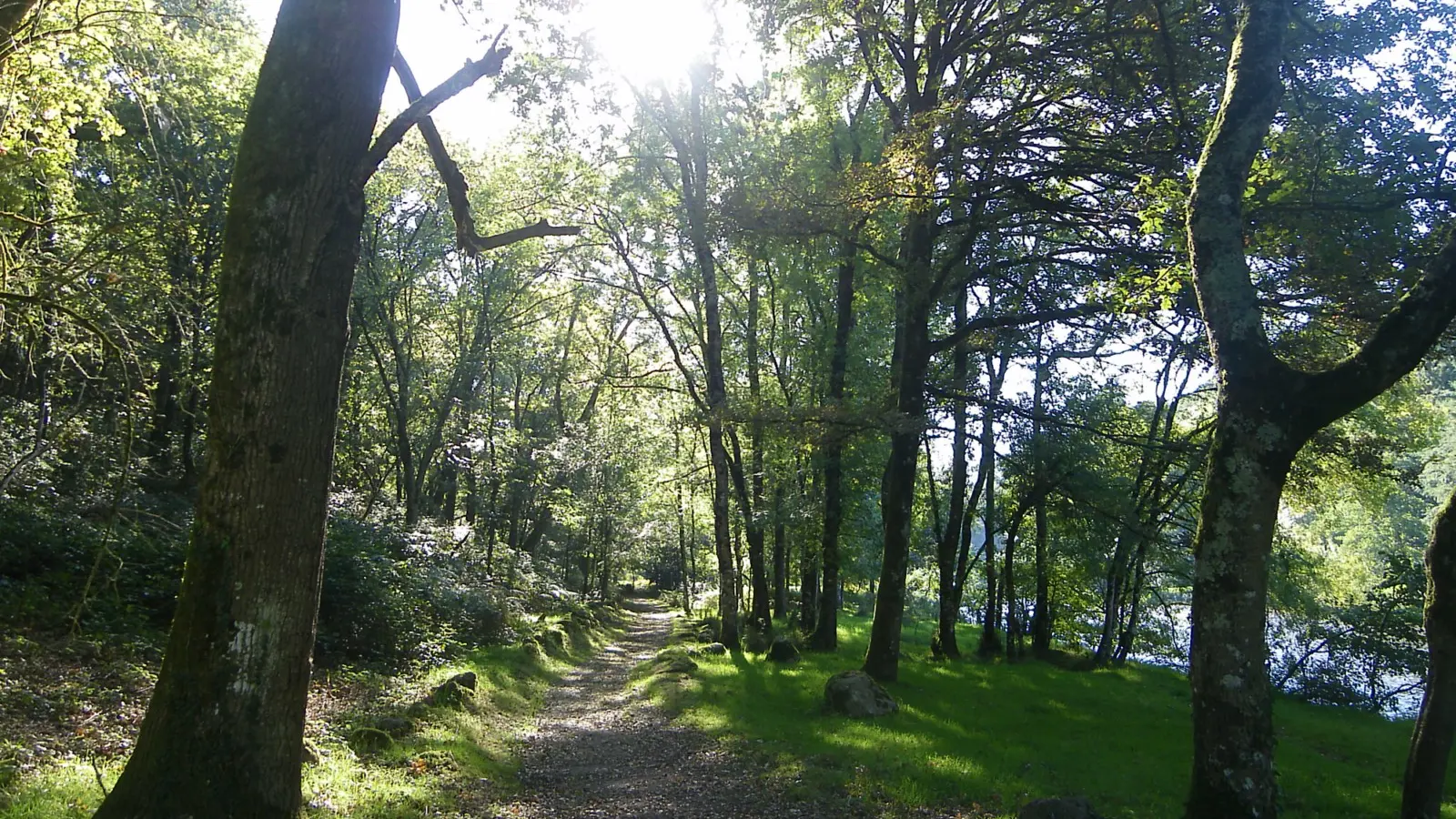 Grp de sevre et maine boucle du vignoble