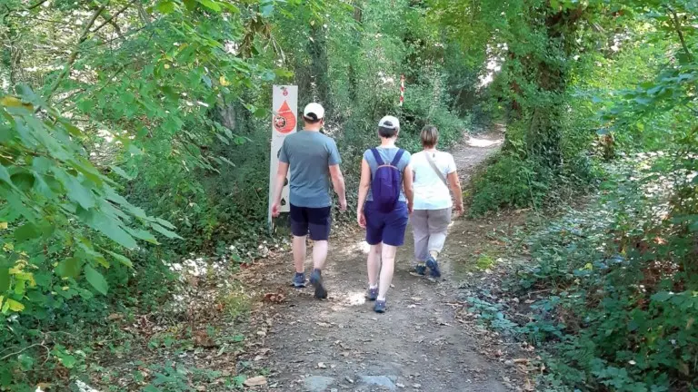 Grp de sevre et maine boucle du vignoble