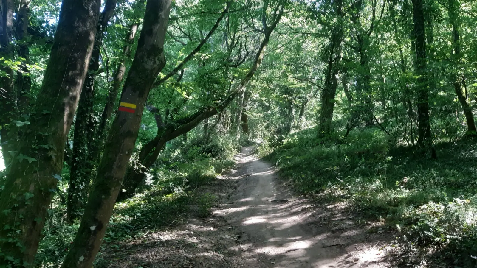Grp de sevre et maine boucle du vignoble