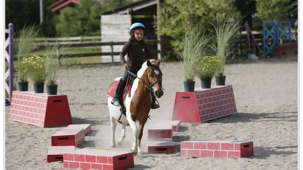 GT2016-Centre-Hippique-des-3-Provinces-Gétigné-44-LOI-2