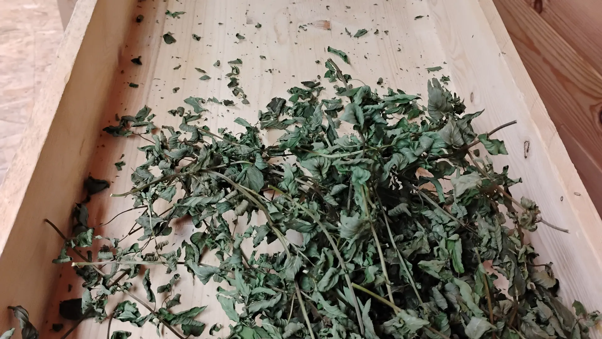 Herborigène - Bocage Mayennais  2