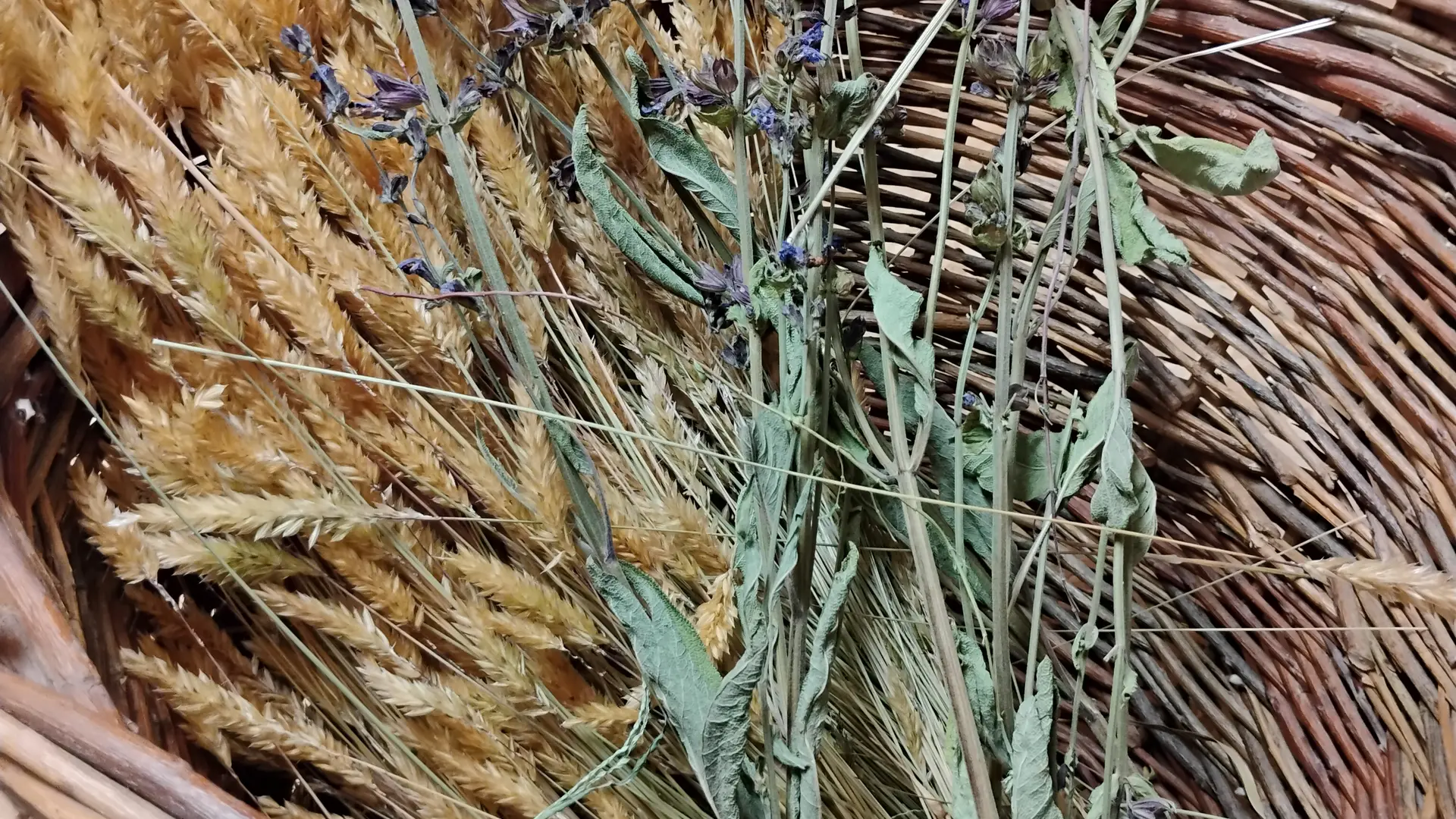 Herborigène - Bocage Mayennais  4