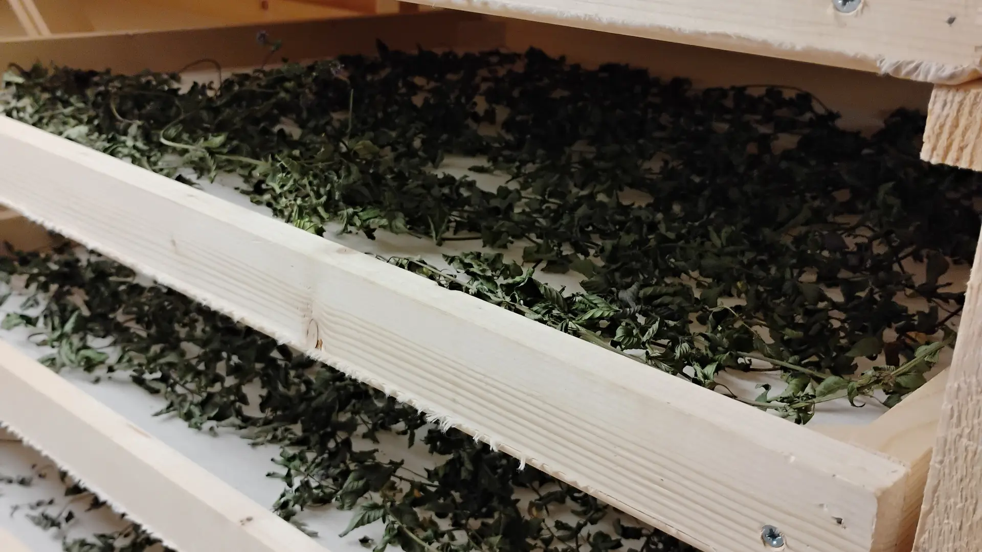 Herborigène - Bocage Mayennais 3