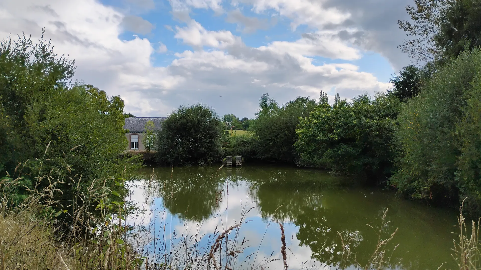 Herborigène - Bocage Mayennais 8