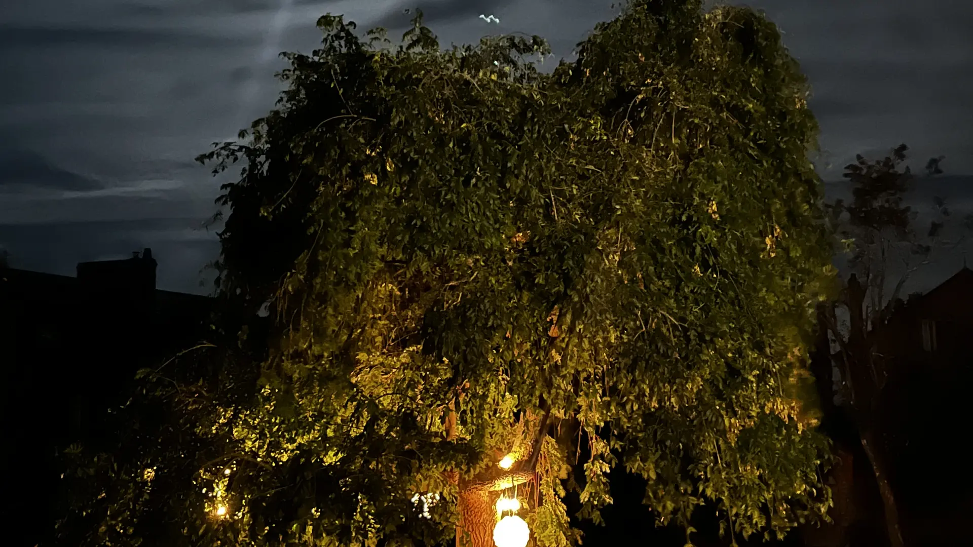 La Demeure d'Euphrosine - Fresnay-sur-Sarthe - Parc clos la nuit