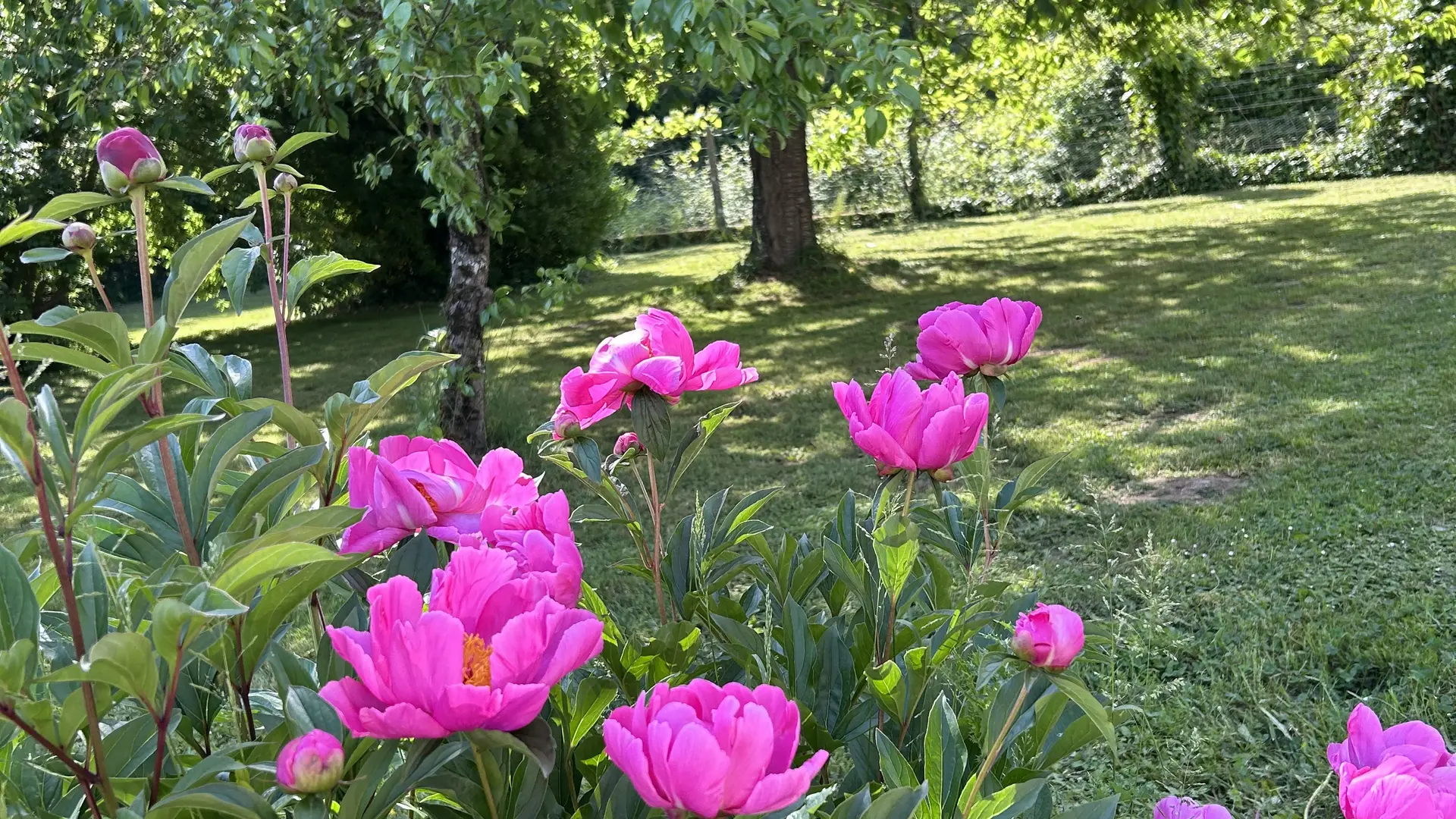 Gîte de Neufontaine - Thoiré-sous-Contensor - extérieur