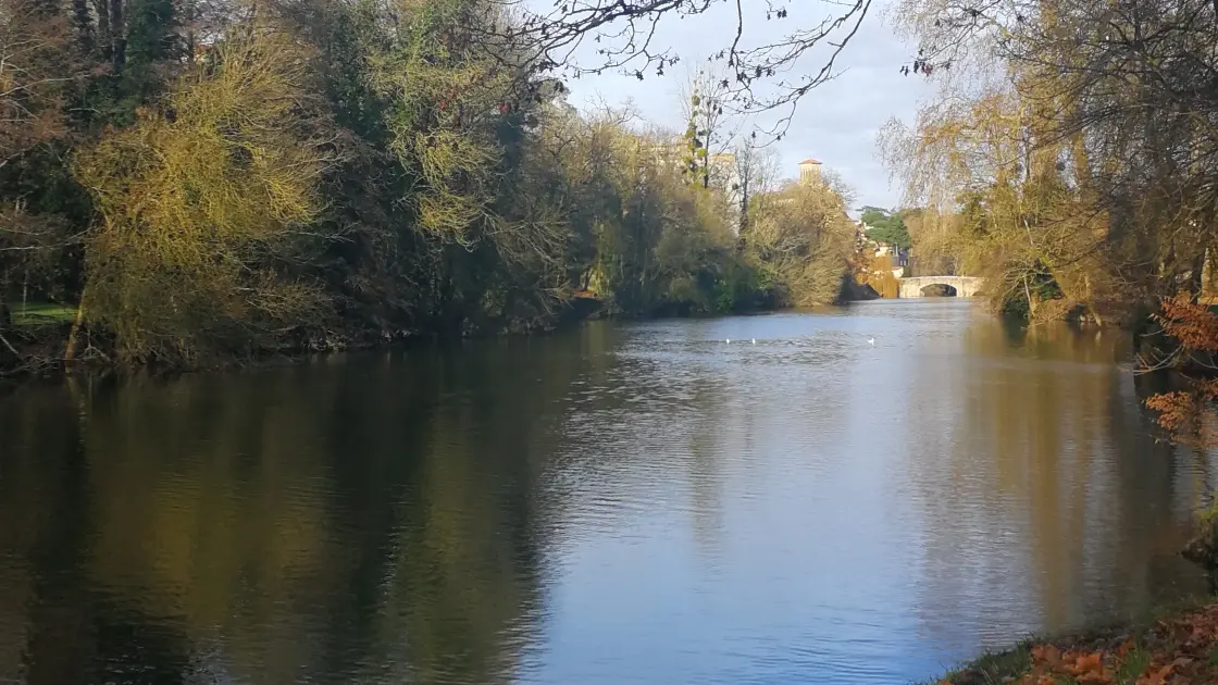 IMG_20210115_105503_resized_20211118_064804390