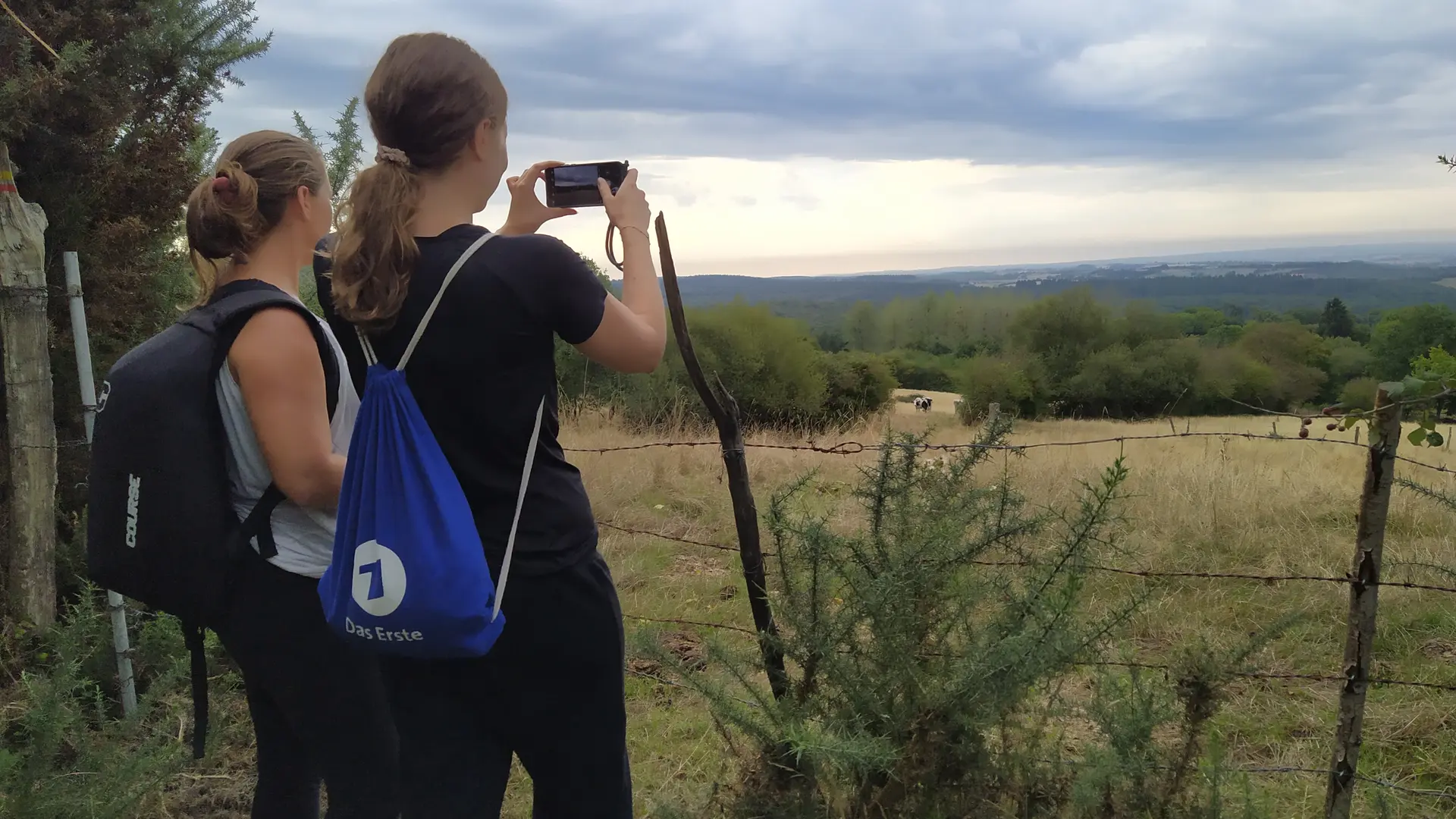 Sur les hauteurs de Crennes-sur-Fraubée