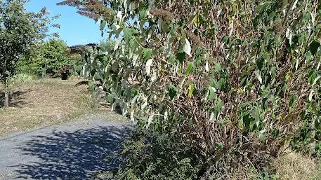 maison du heron parking