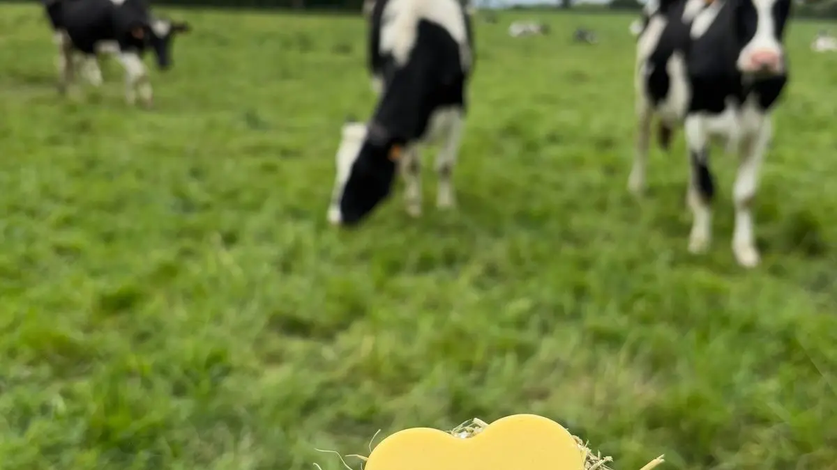 Les savons de la ferme du Coudray - St Germain de Coulamer