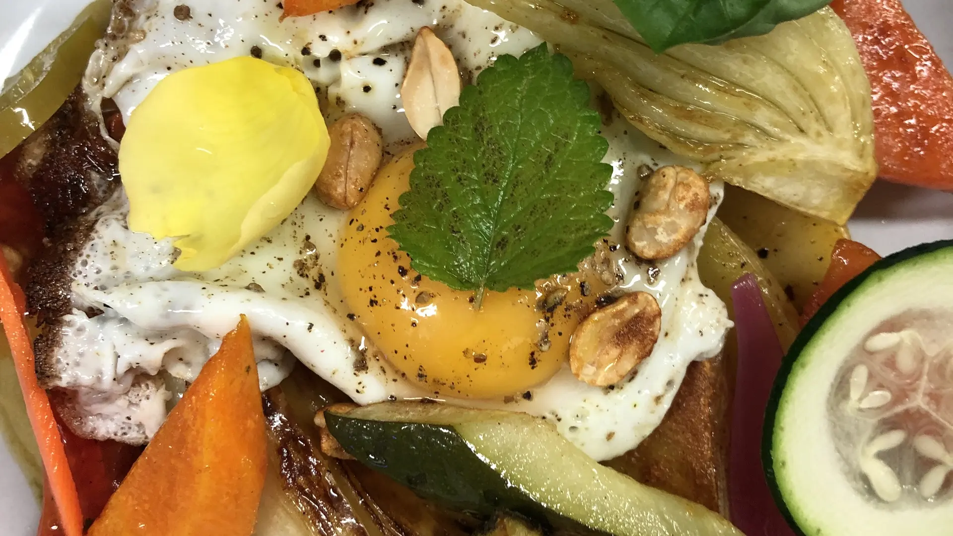 Un plat végétarien