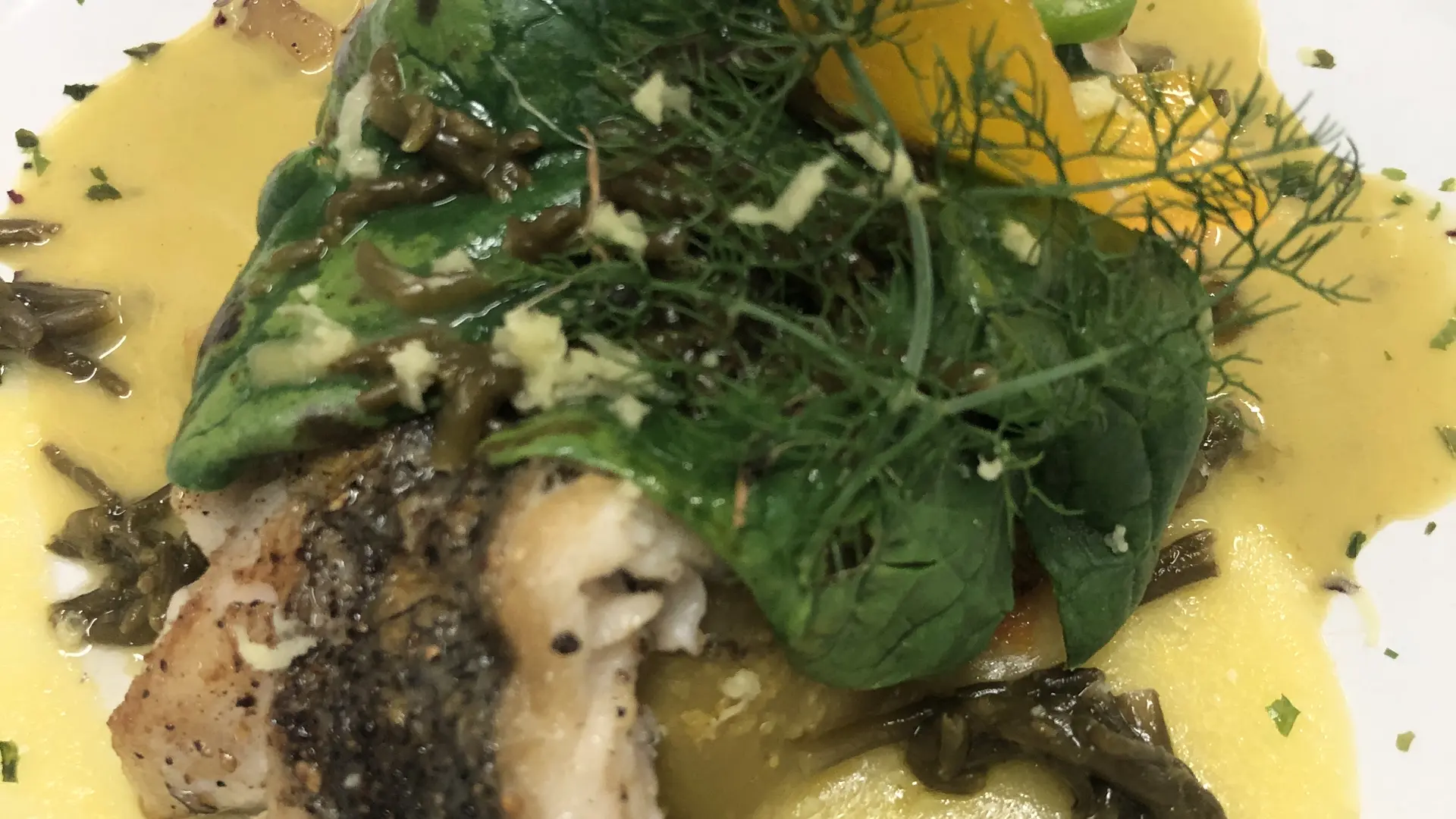 Poisson suivant l’arrivage, crème de salicornes à l’anis vert