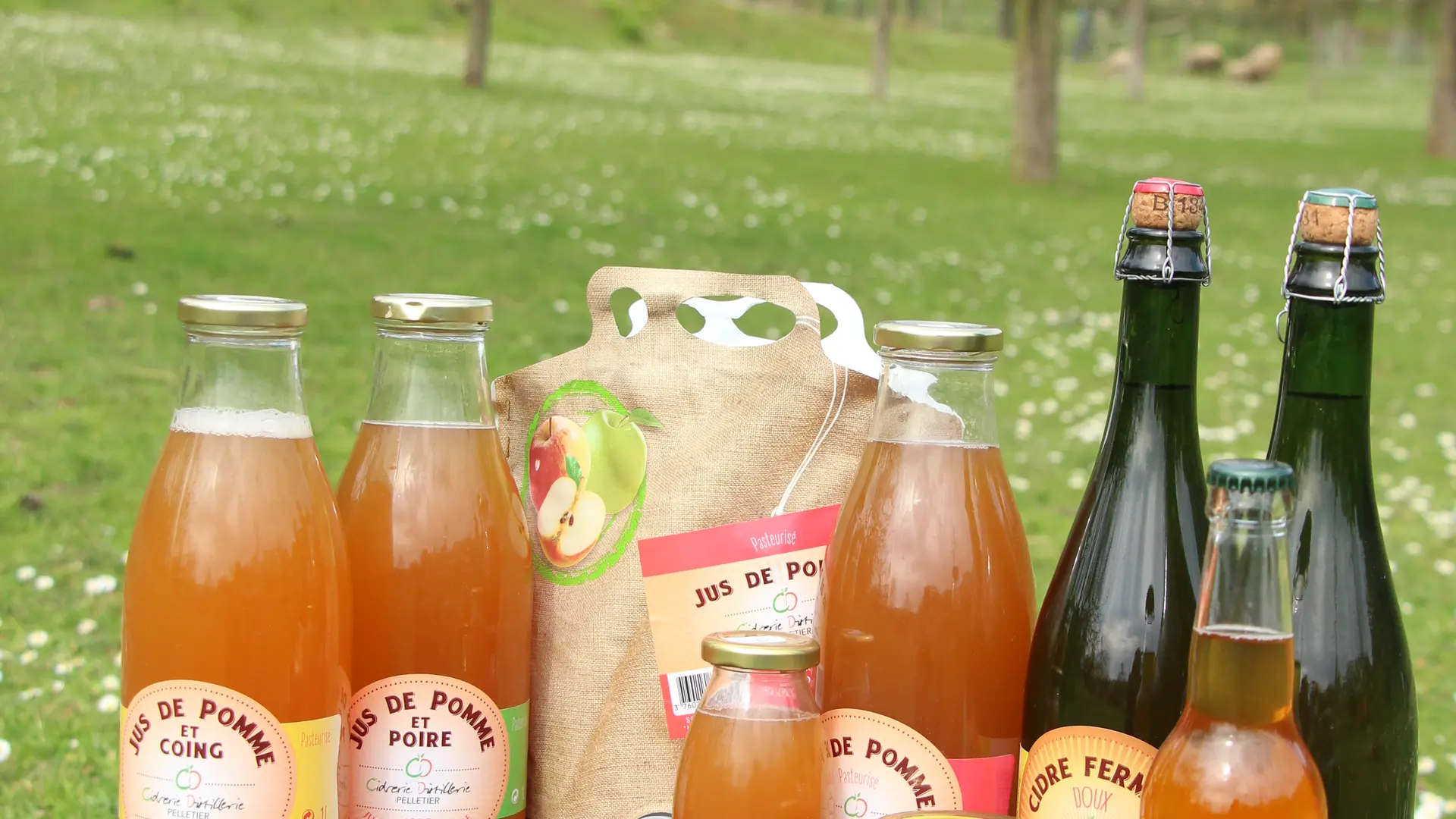 Jus et Cidre