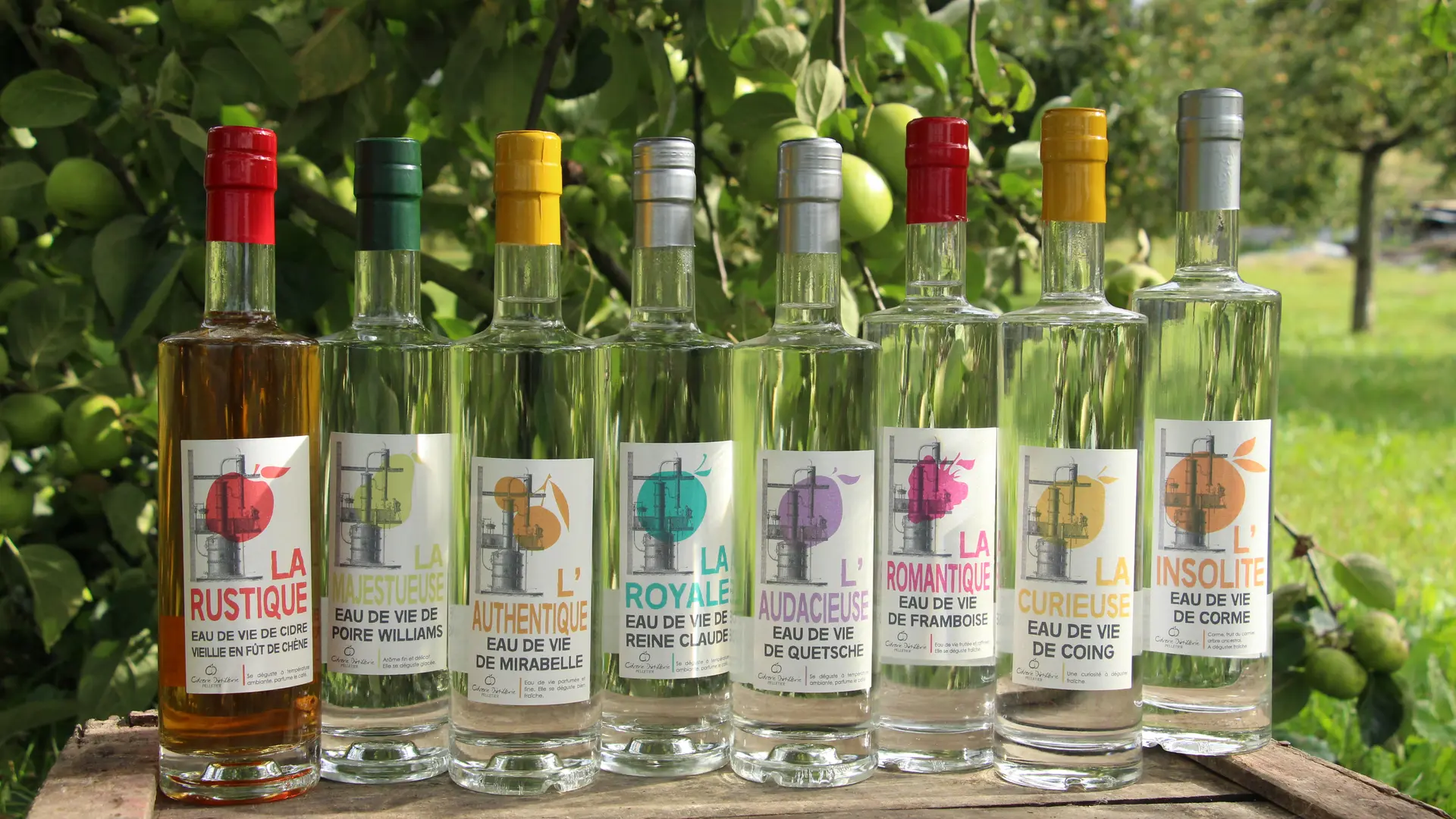 Eaux de vie Liqueurs